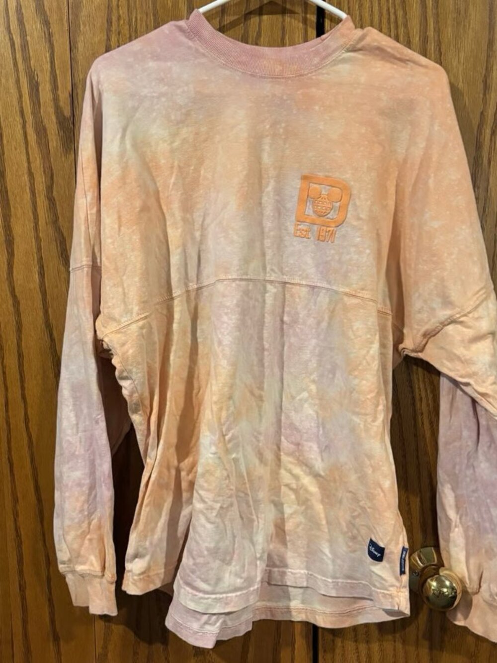 Walt Disney World Pastel Tie-Dye Spirit Jersey | Oversized Disney Pullover